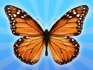 MergeButerfly: 2048!