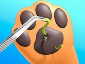 Paw Care – 3D Vet Game